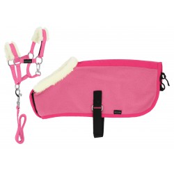 Set Mini licol + mini couvertures pour peluche Pony Academy