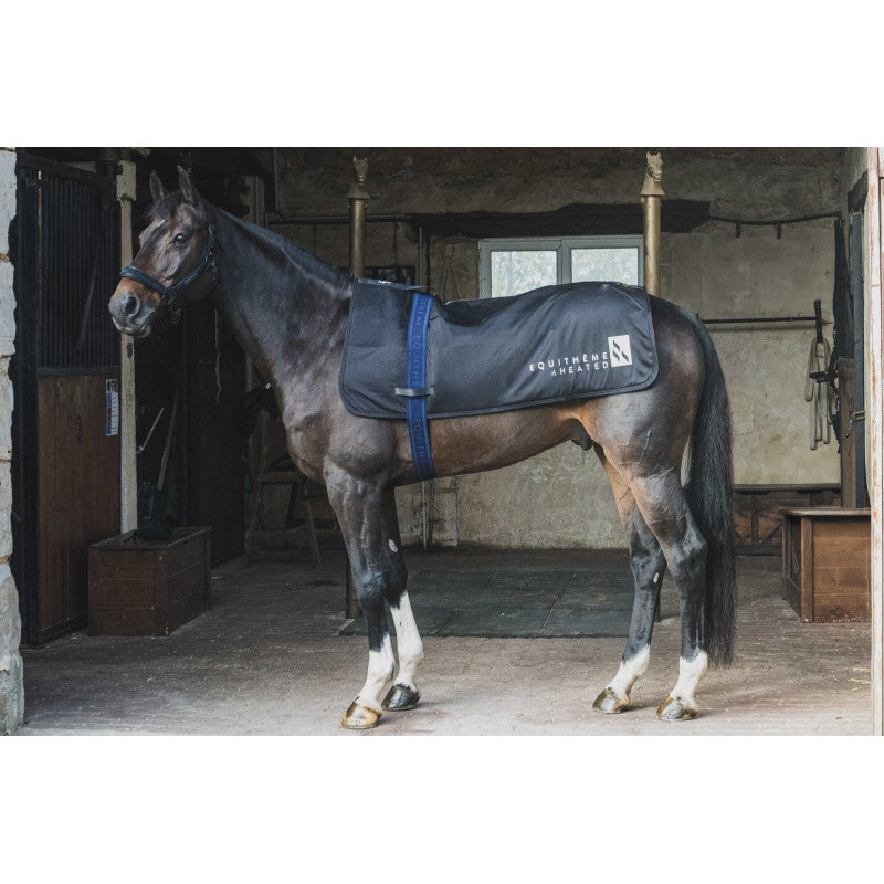 Chauffe-dos EQUITHÈME Heated