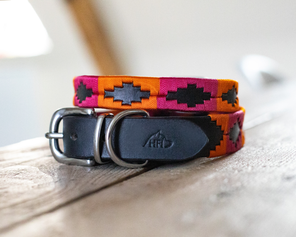 Collier pour chien "Polo" - HFI