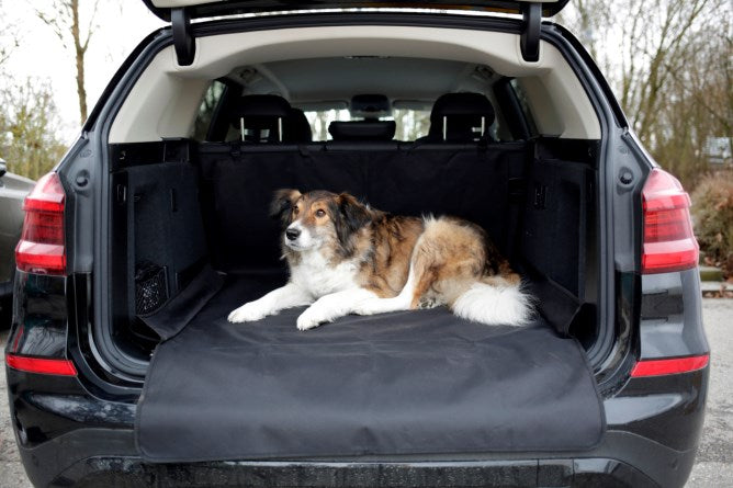 Couverture de transport pour voiture