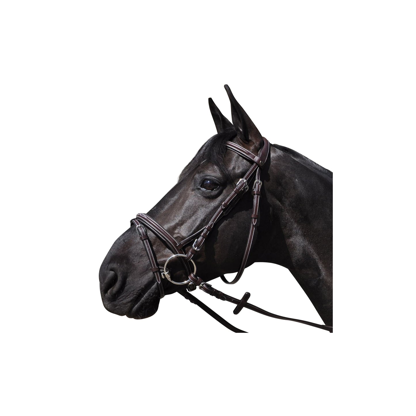 Bridon Flag and cup "Wellington"