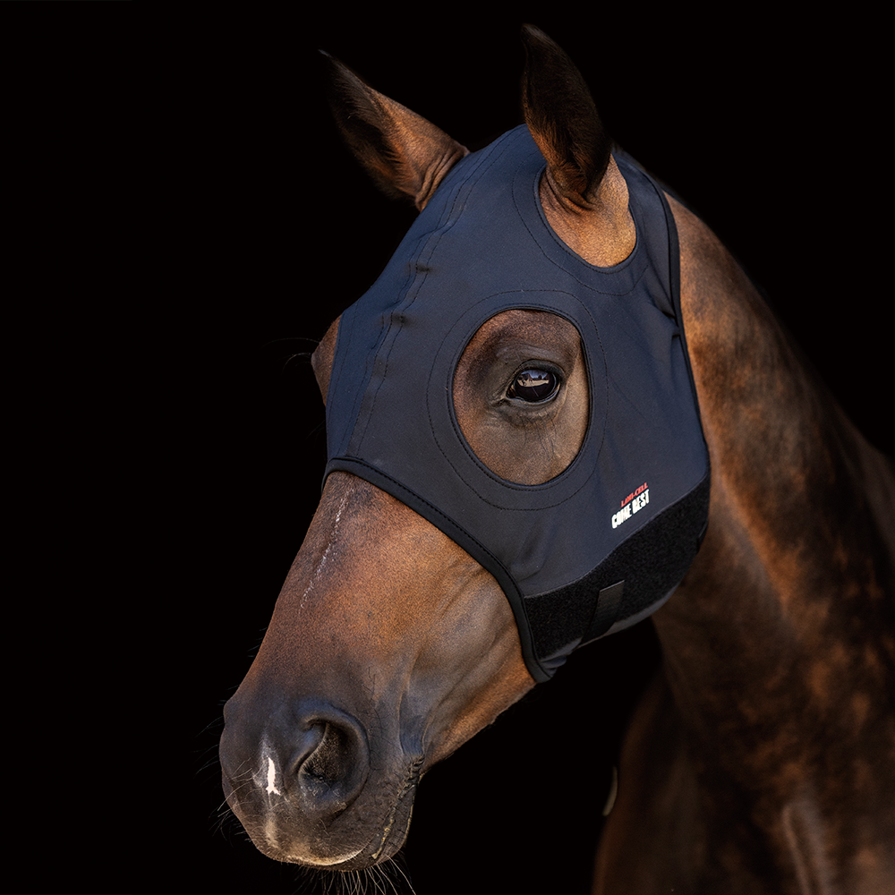 Masque anti-stress Lamicell titanium sans oreilles
