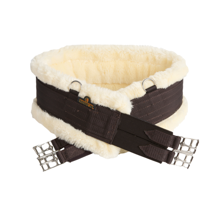 Sangle mouton- Kentucky