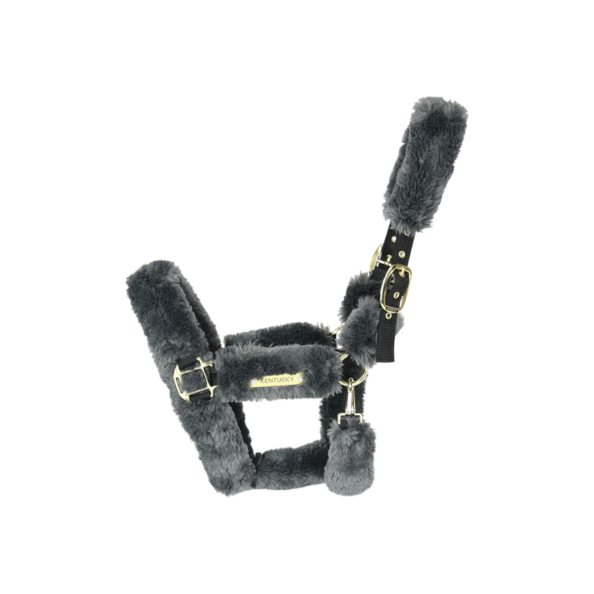 LICOL DE TRANSPORT MOUTON