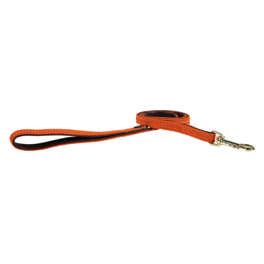 Laisse nylon tressé