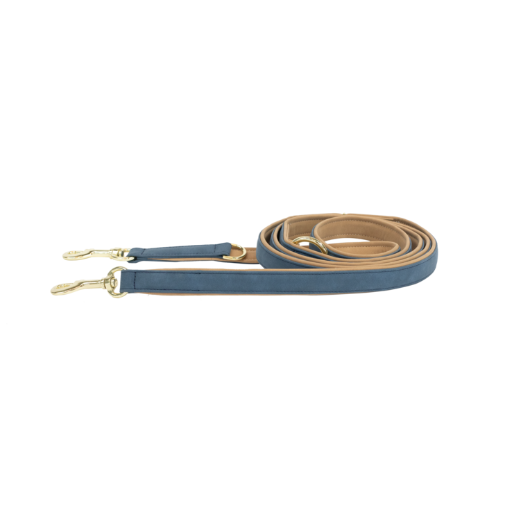 Laisse pour chien Vegan Leather