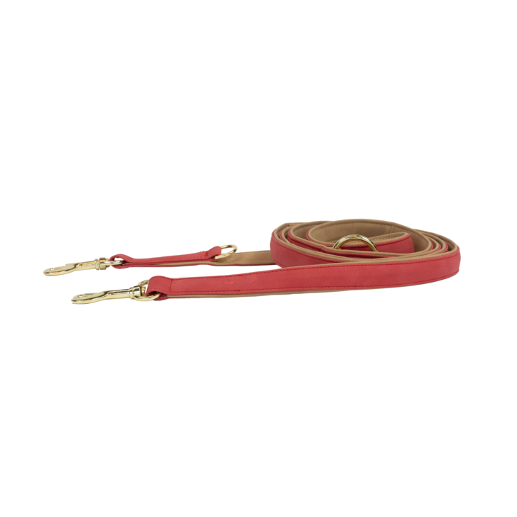 Laisse pour chien Vegan Leather