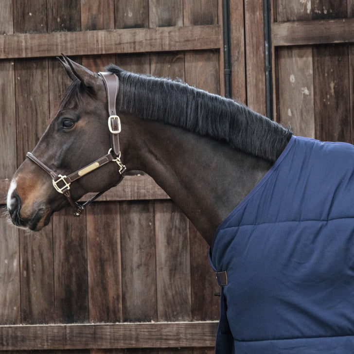 Sous couverture - Kentucky