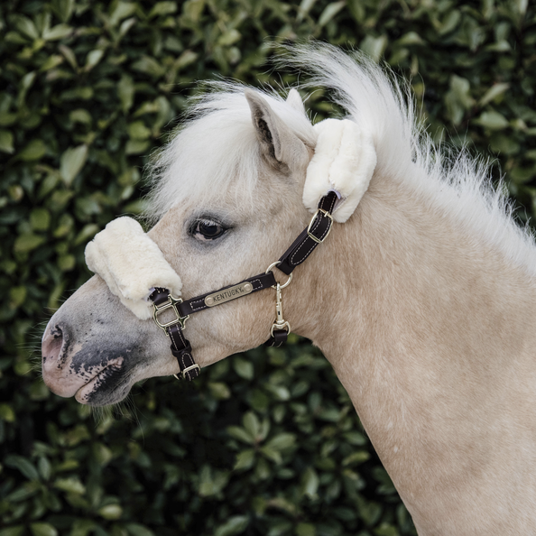 LICOL EN CUIR MOUTON