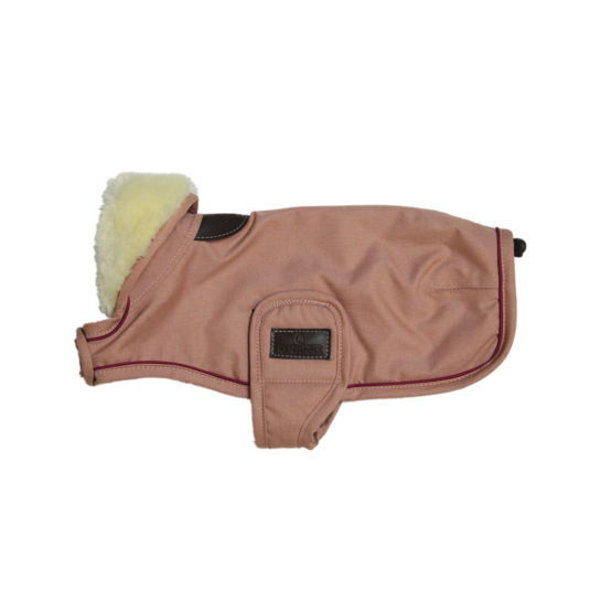 Couverture CHIEN IMPERMÉABLE 160G