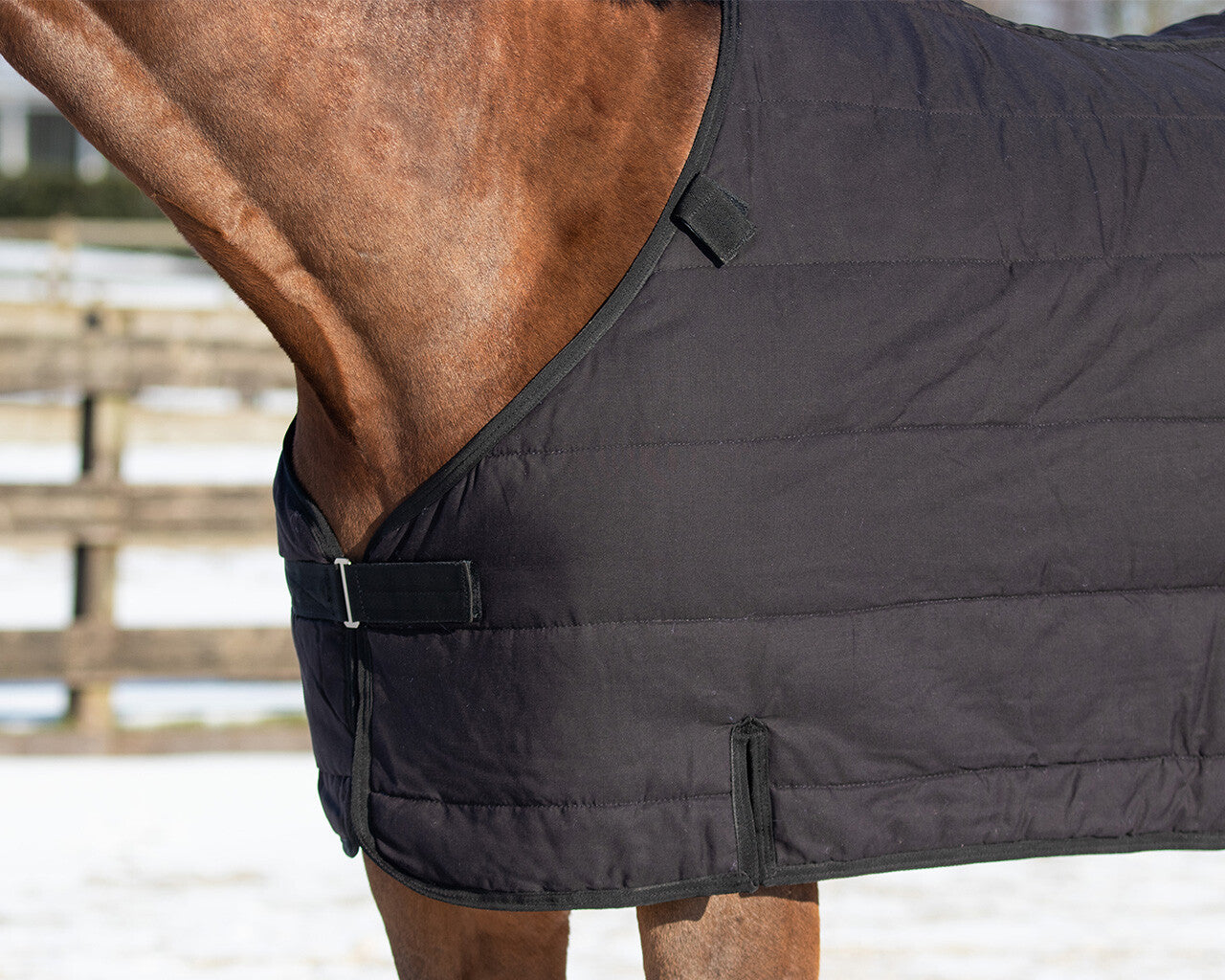 Couverture turnout 200gr combo -sous couverture-cou 100gr