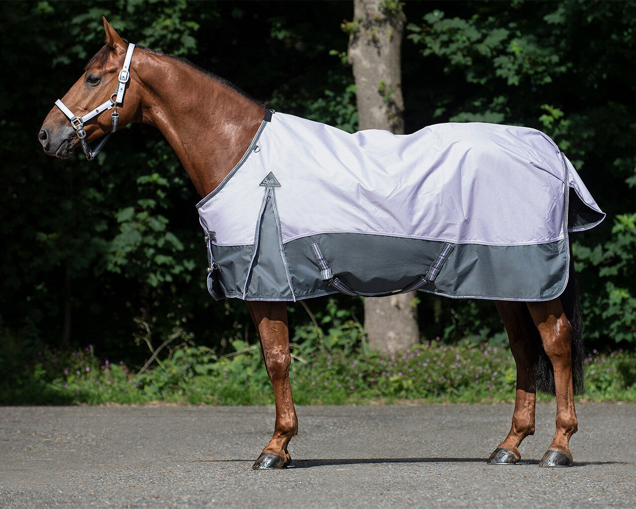 Couverture de paddock imperméable 0gr QHP