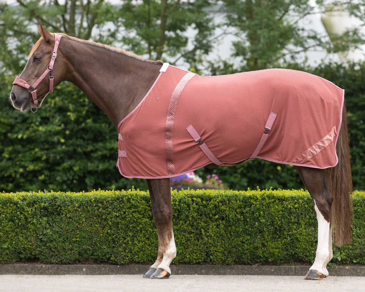 Couvertures QHP "Super Glow"