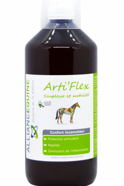 Arti'flex Alliance Equine
