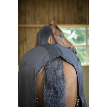 Chemise coton/mesh Paddock Sport