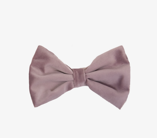 Nœud papillon Velvet
