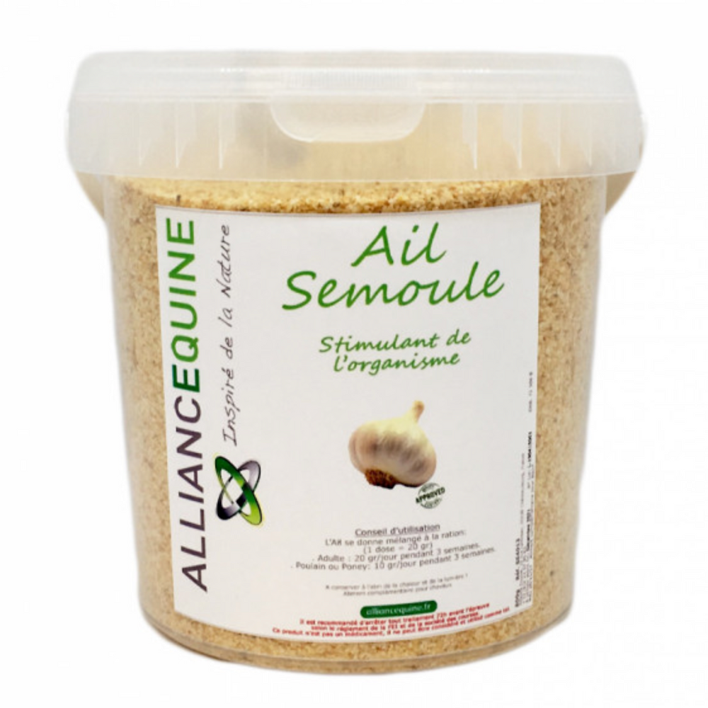 Ail Semoule