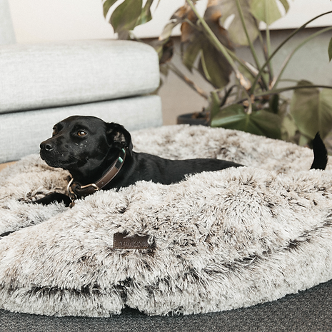 Panier pour chien confort donuts