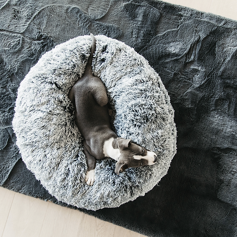 Panier pour chien confort donuts