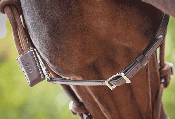 Licol éthologique Pénélope Leprévost