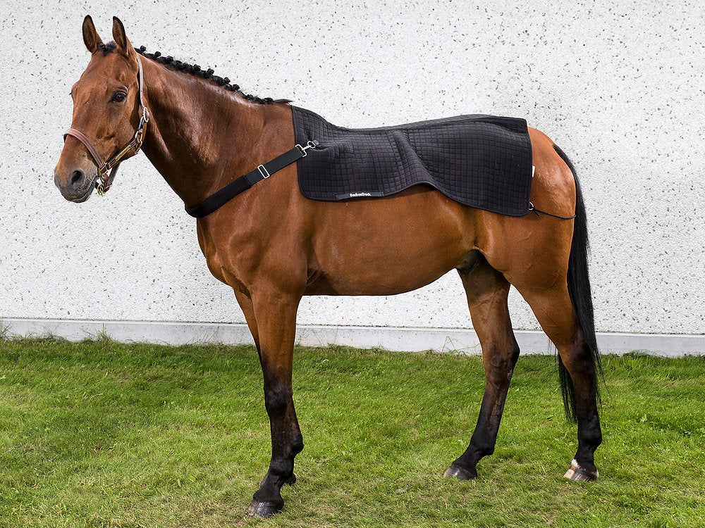 Chauffe-dos Back On Track "Royal"