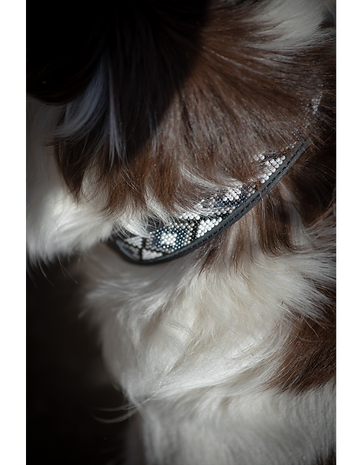 Collier Pénélope Pearl