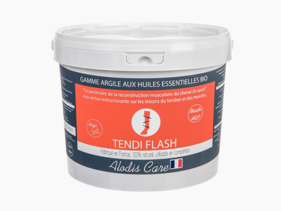 Tendi Flash