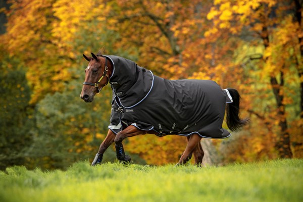 Couverture de paddock Amigo Bravo 12 plus 250gr