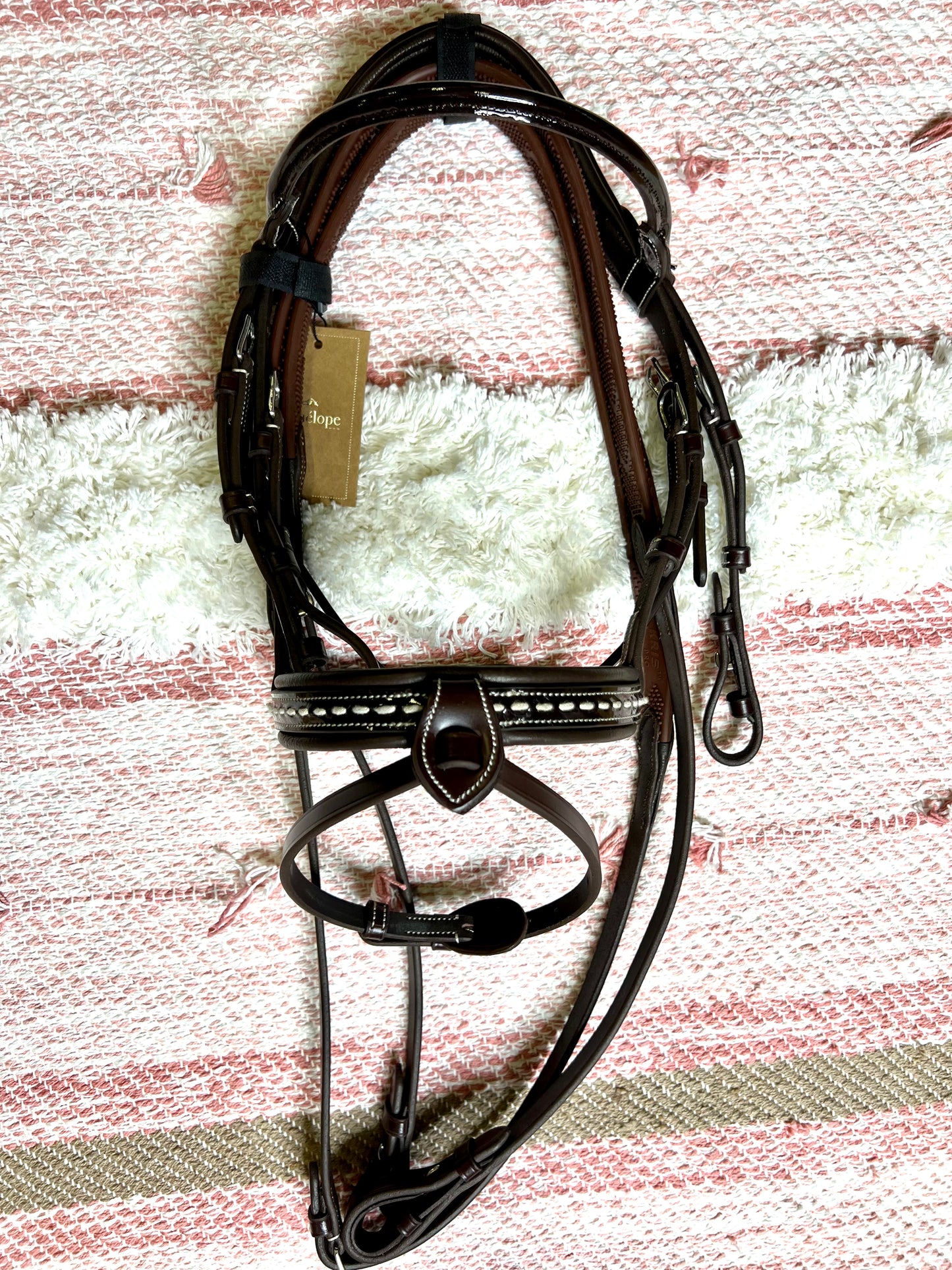 Bridon verni Pénélope "Eden"