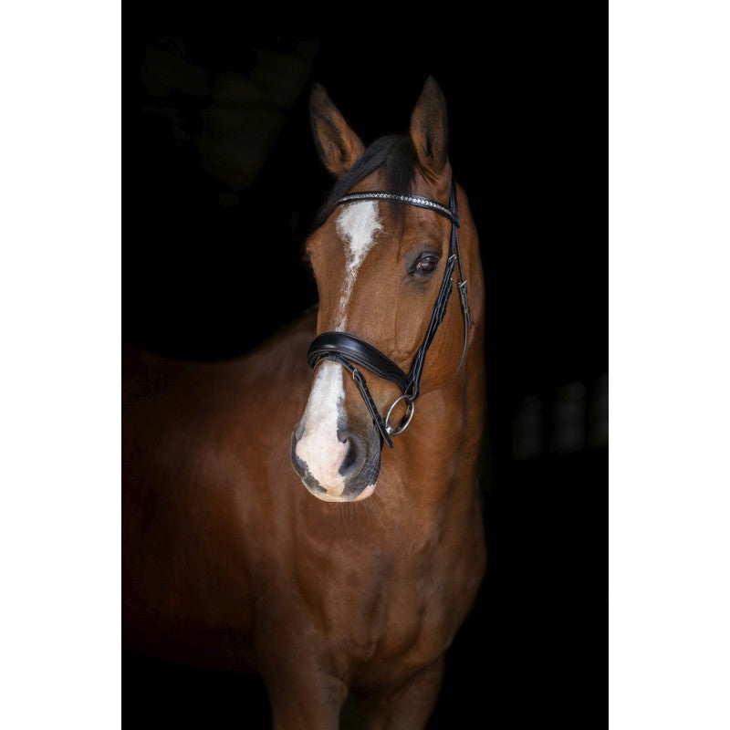 Bridon Eric Thomas "Stuttgart"