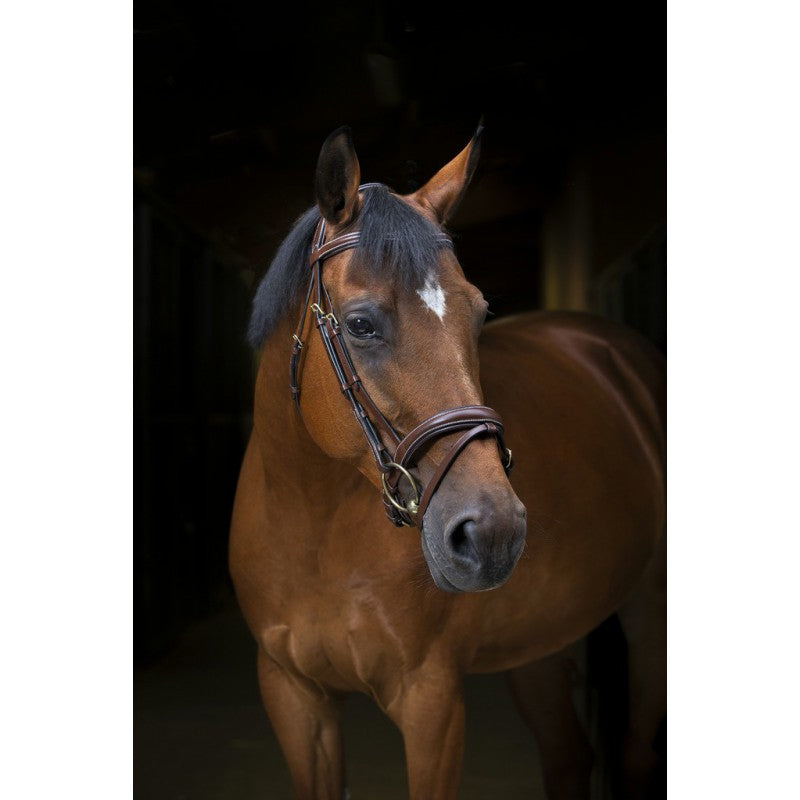 Bridon Eric Thomas "Wave"