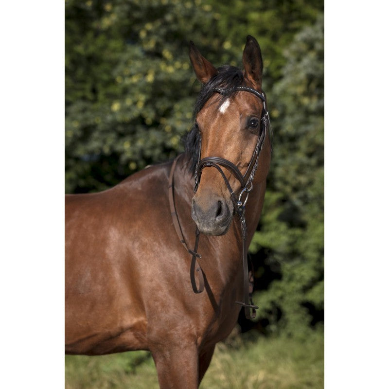 Bridon à strass Norton "V"