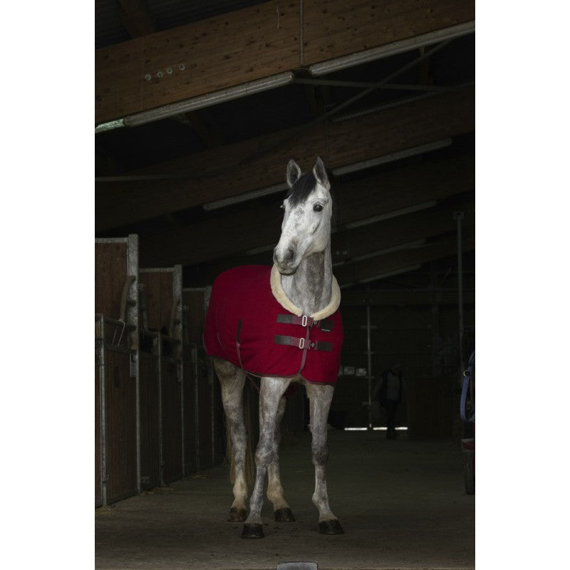 Chemise polaire Equithème "Teddy"
