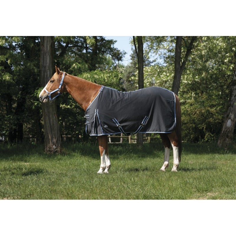 Chemise en coton Equithème