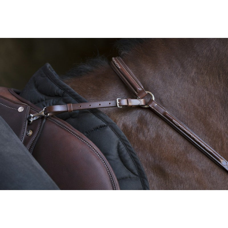 Collier de chasse Norton pro