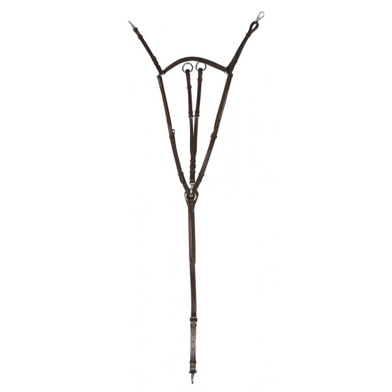 Collier de chasse Norton pro