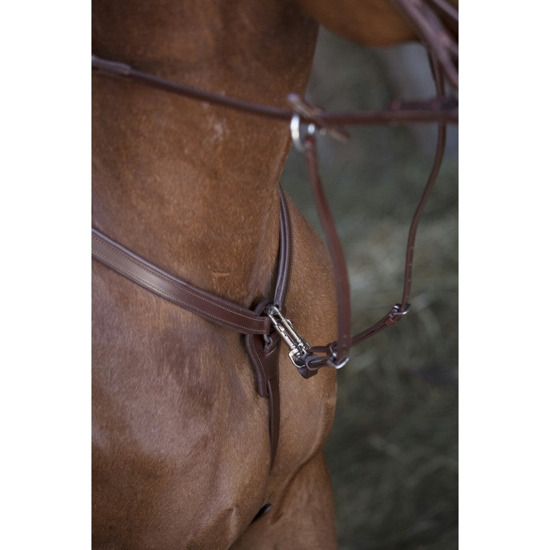 Collier de chasse Norton pro