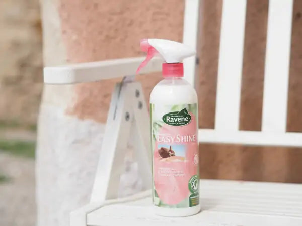 Démêlant Ravene "Easy shine"