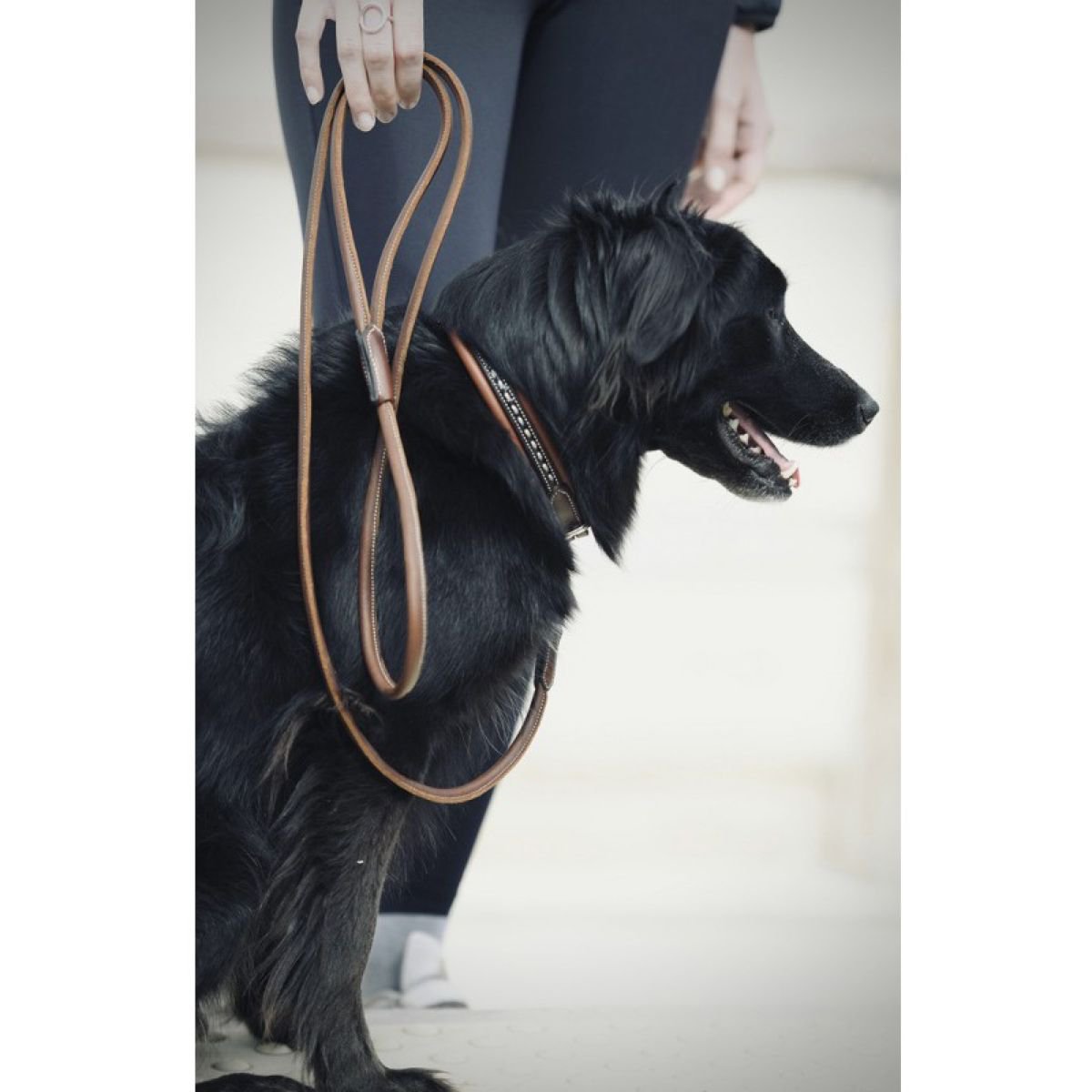 Laisse Pénélope Point Sellier