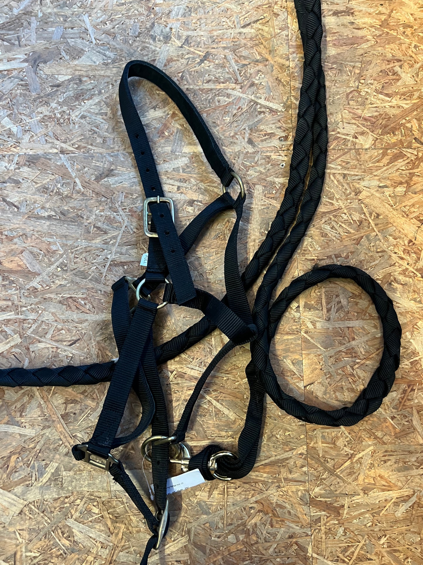 Licol+longe américaine