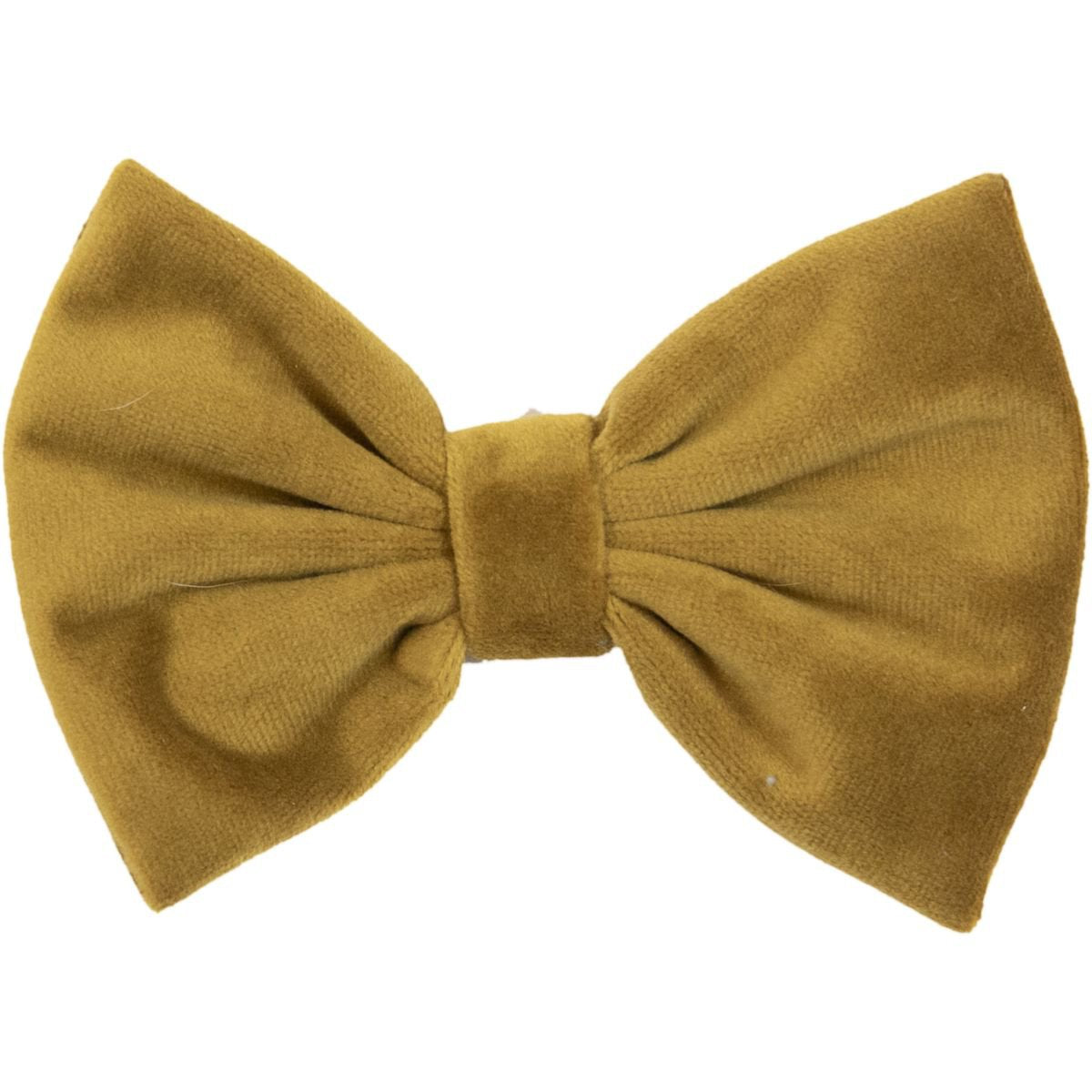 Nœud papillon Velvet