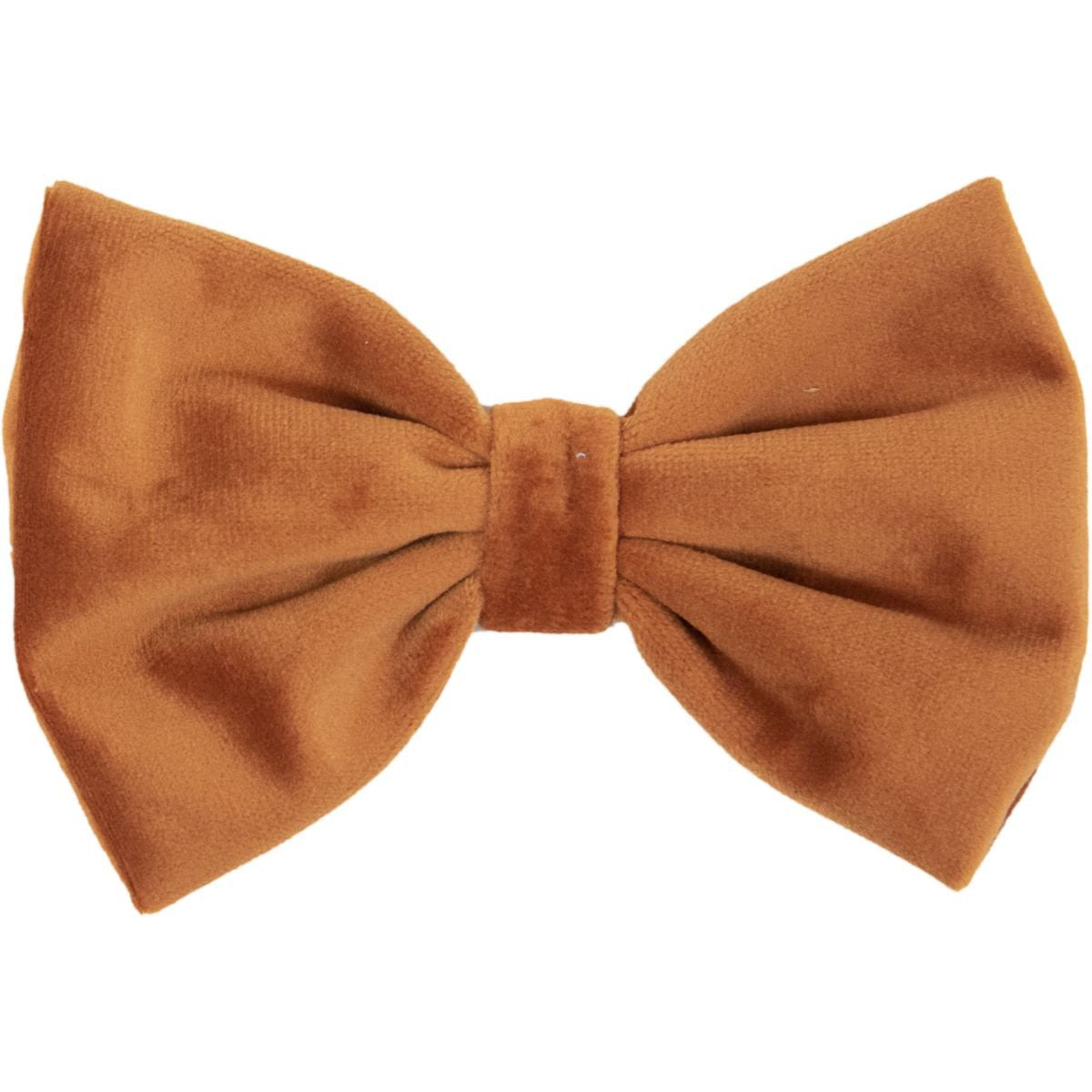Nœud papillon Velvet