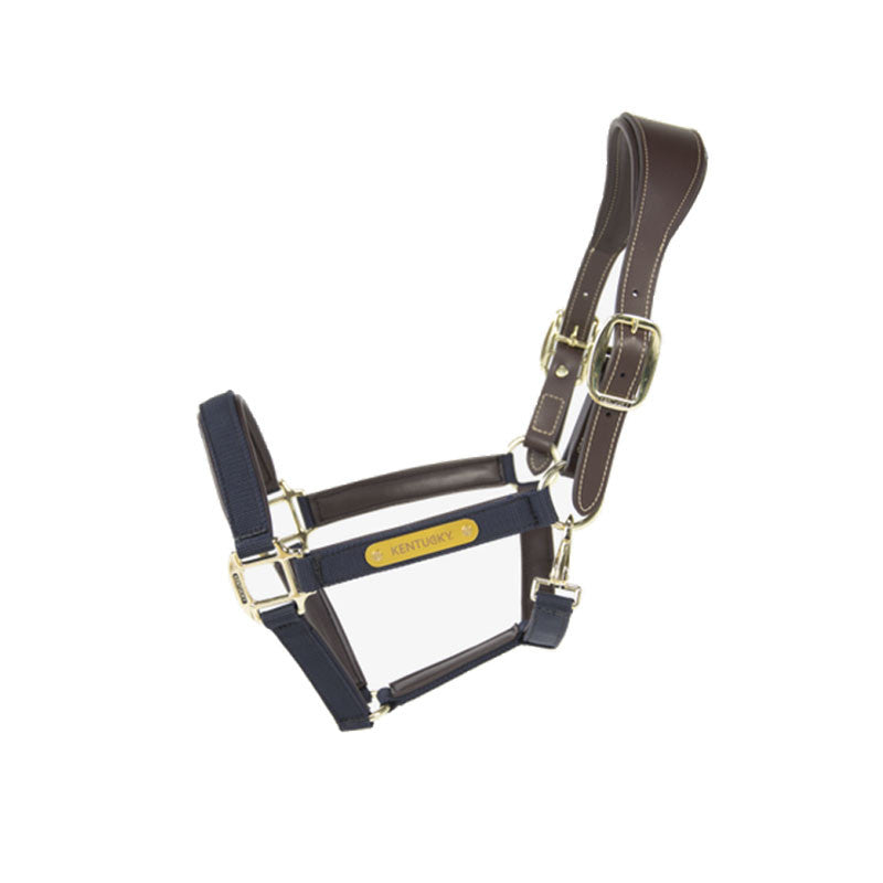 Licol anatomique nylon
