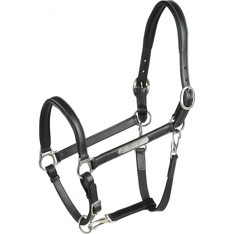 Licol cuir "grooming" Eric thomas