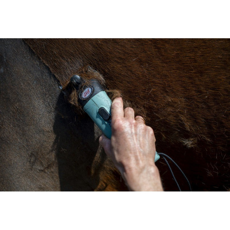 Tondeuse " STAR"- lister