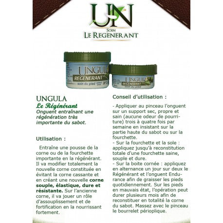Régénérant 280ml