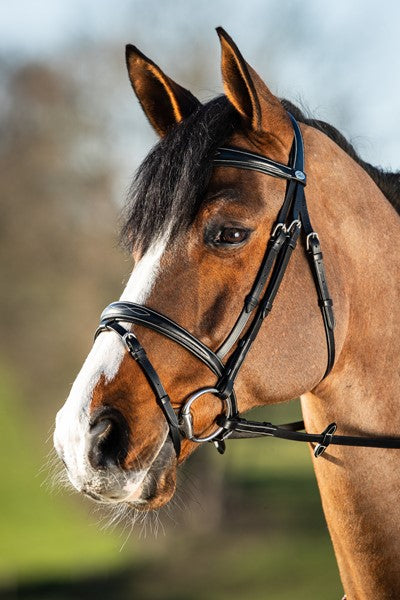Bridon HFI "Elegant"