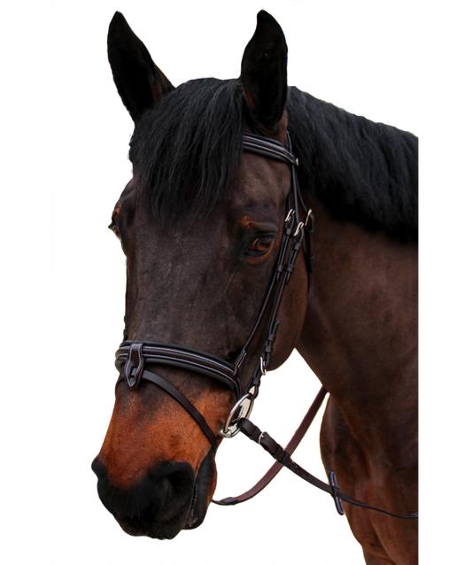 Bridon Canter "Bombé 1/2 rond Nino"