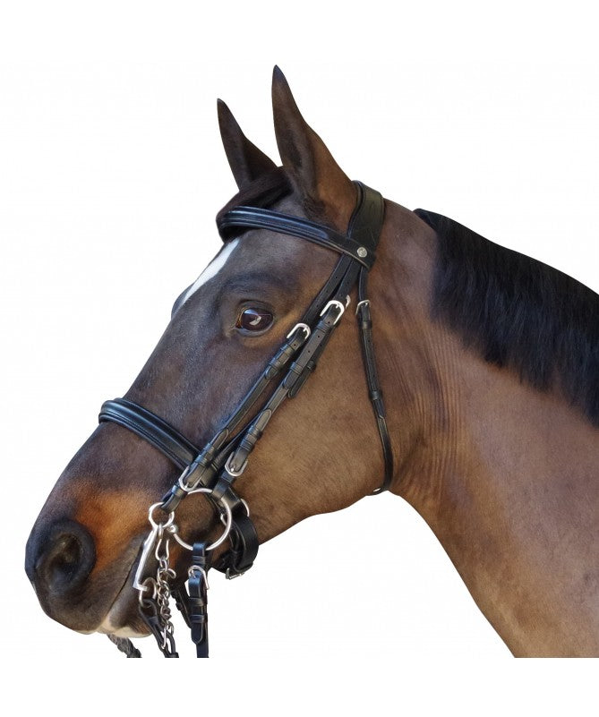 Bride Canter "Euro"