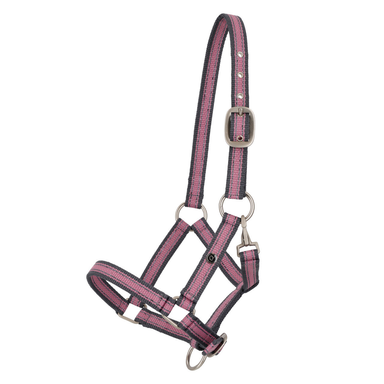 Licol QHP Poulain Collection 26
